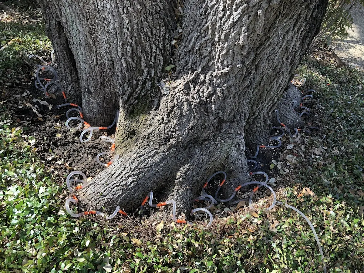 Detailed Shrub and Hedge Trimming job site in Tonkawa