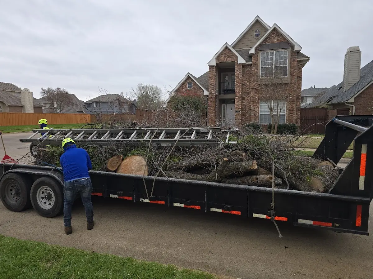 Expert Tree Fertilization with proper safety equipment in Tonkawa